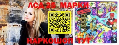гидра Заволжье