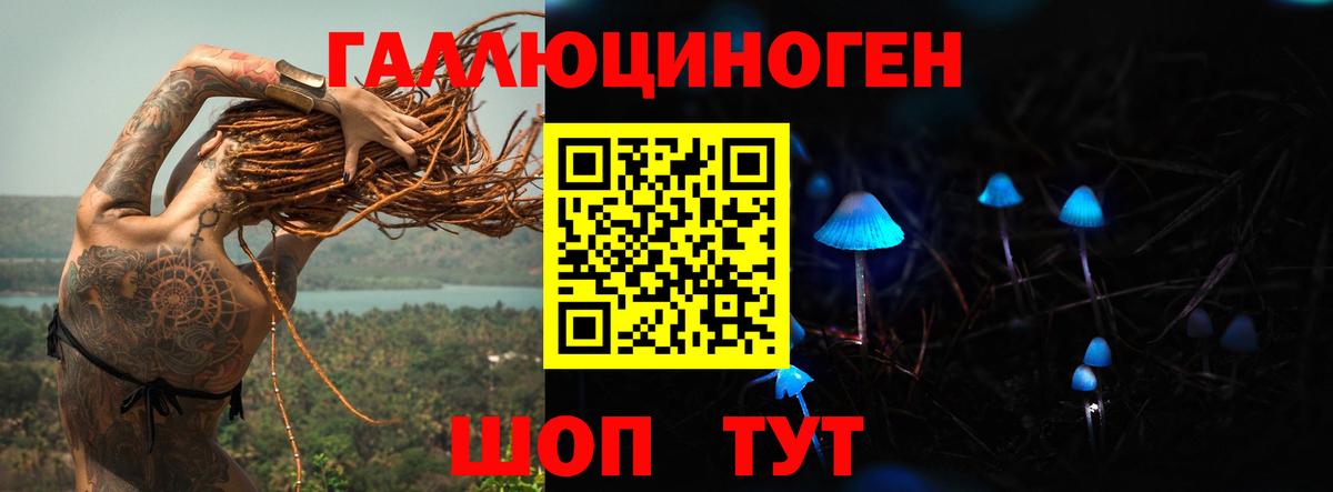 Галлюциногенные грибы Psilocybe Котельники